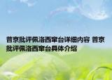 普京批评佩洛西窜台详细内容 普京批评佩洛西窜台具体介绍