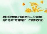 鞭打我吧!是哪个歌剧里的?....介绍(鞭打我吧!是哪个歌剧里的?....详细情况如何)