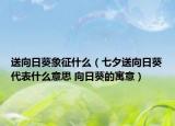 送向日葵象征什么（七夕送向日葵代表什么意思 向日葵的寓意）