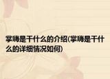掌嗨是干什么的介绍(掌嗨是干什么的详细情况如何)