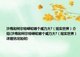 沙鹰和柯尔特蟒蛇哪个威力大?（现实世界）介绍(沙鹰和柯尔特蟒蛇哪个威力大?（现实世界）详细情况如何)