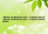 《哪吒传奇》里小哪吒身边为什么会有一个小浣熊(是什么来历介绍 《哪吒传奇》里小哪吒身边为什么会有一个小浣熊 是什么来历详细情况如何)