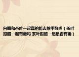 白醋和茶叶一起真的能去除甲醛吗（茶叶跟醋一起有毒吗 茶叶跟醋一起是否有毒）