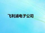 飞利浦电子公司