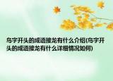 鸟字开头的成语接龙有什么介绍(鸟字开头的成语接龙有什么详细情况如何)