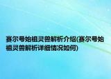 赛尔号始祖灵兽解析介绍(赛尔号始祖灵兽解析详细情况如何)