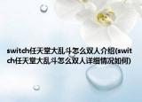 switch任天堂大乱斗怎么双人介绍(switch任天堂大乱斗怎么双人详细情况如何)
