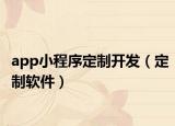 app小程序定制开发（定制软件）