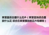 家里面适合摆什么花卉（家里装饰适合摆放什么花 适合在家里摆放的花卉有哪些）