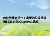 凶位放什么植物（家里凶位放盆栽可以吗 家里凶位能放盆栽那）