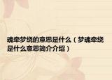 魂牵梦绕的意思是什么（梦魂牵绕是什么意思简介介绍）
