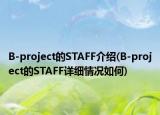 B-project的STAFF介绍(B-project的STAFF详细情况如何)