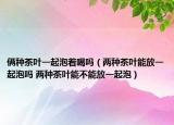 俩种茶叶一起泡着喝吗（两种茶叶能放一起泡吗 两种茶叶能不能放一起泡）
