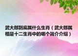 武大郎到底属什么生肖（武大郎属相是十二生肖中的哪个简介介绍）