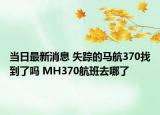 当日最新消息 失踪的马航370找到了吗 MH370航班去哪了