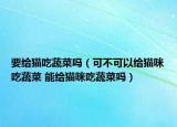 要给猫吃蔬菜吗（可不可以给猫咪吃蔬菜 能给猫咪吃蔬菜吗）