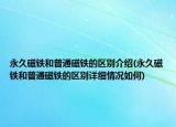 永久磁铁和普通磁铁的区别介绍(永久磁铁和普通磁铁的区别详细情况如何)