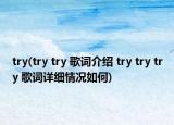 try(try try 歌词介绍 try try try 歌词详细情况如何)