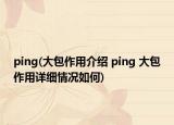 ping(大包作用介绍 ping 大包作用详细情况如何)