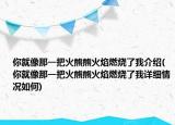 你就像那一把火熊熊火焰燃烧了我介绍(你就像那一把火熊熊火焰燃烧了我详细情况如何)