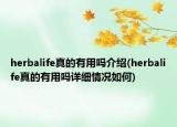 herbalife真的有用吗介绍(herbalife真的有用吗详细情况如何)