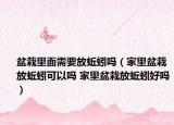 盆栽里面需要放蚯蚓吗（家里盆栽放蚯蚓可以吗 家里盆栽放蚯蚓好吗）