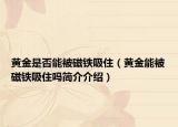 黄金是否能被磁铁吸住（黄金能被磁铁吸住吗简介介绍）