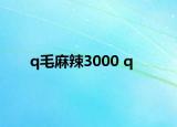 q毛麻辣3000 q