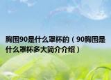 胸围90是什么罩杯的（90胸围是什么罩杯多大简介介绍）