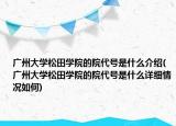 广州大学松田学院的院代号是什么介绍(广州大学松田学院的院代号是什么详细情况如何)