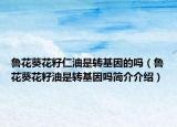 鲁花葵花籽仁油是转基因的吗（鲁花葵花籽油是转基因吗简介介绍）
