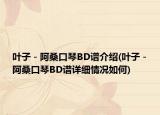 叶子－阿桑口琴BD谱介绍(叶子－阿桑口琴BD谱详细情况如何)