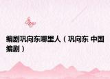 编剧巩向东哪里人（巩向东 中国编剧）