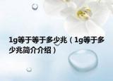 1g等于等于多少兆（1g等于多少兆简介介绍）