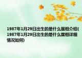 1987年1月29日出生的是什么属相介绍(1987年1月29日出生的是什么属相详细情况如何)
