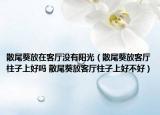 散尾葵放在客厅没有阳光（散尾葵放客厅柱子上好吗 散尾葵放客厅柱子上好不好）