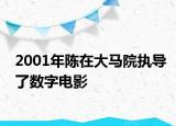 2001年陈在大马院执导了数字电影