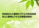 玩游戏这么久都明白了什么介绍(玩游戏这么久都明白了什么详细情况如何)