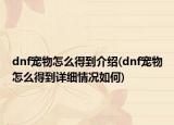 dnf宠物怎么得到介绍(dnf宠物怎么得到详细情况如何)