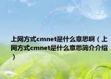 上网方式cmnet是什么意思啊（上网方式cmnet是什么意思简介介绍）