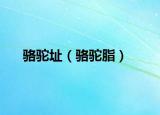 骆驼址（骆驼脂）