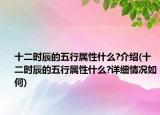 十二时辰的五行属性什么?介绍(十二时辰的五行属性什么?详细情况如何)