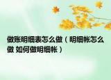做账明细表怎么做（明细帐怎么做 如何做明细帐）