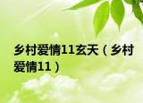 乡村爱情11玄天（乡村爱情11）