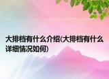 大排档有什么介绍(大排档有什么详细情况如何)