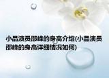 小品演员邵峰的身高介绍(小品演员邵峰的身高详细情况如何)