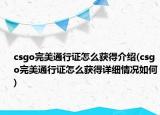 csgo完美通行证怎么获得介绍(csgo完美通行证怎么获得详细情况如何)