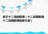 关于十二月的歌词（十二月调歌词 十二月调歌词简单介绍）