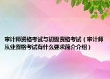 审计师资格考试与初级资格考试（审计师从业资格考试有什么要求简介介绍）