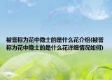 被誉称为花中隐士的是什么花介绍(被誉称为花中隐士的是什么花详细情况如何)